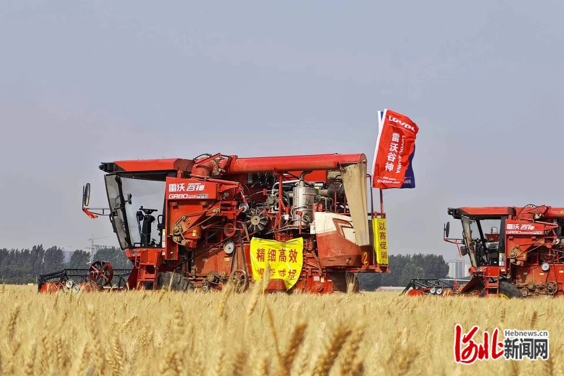 金过威玉米收割机质量怎么样?