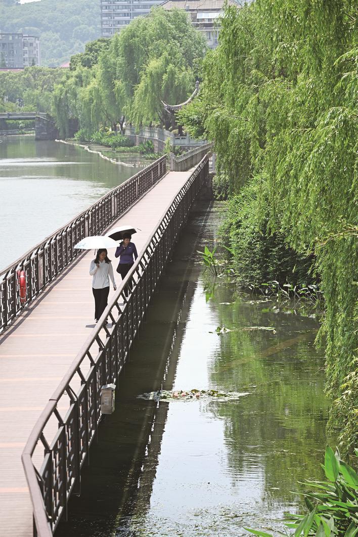 亭台,杨柳,栈道……日前,几位市民在风景优美的嘉兴港区环城河绿道