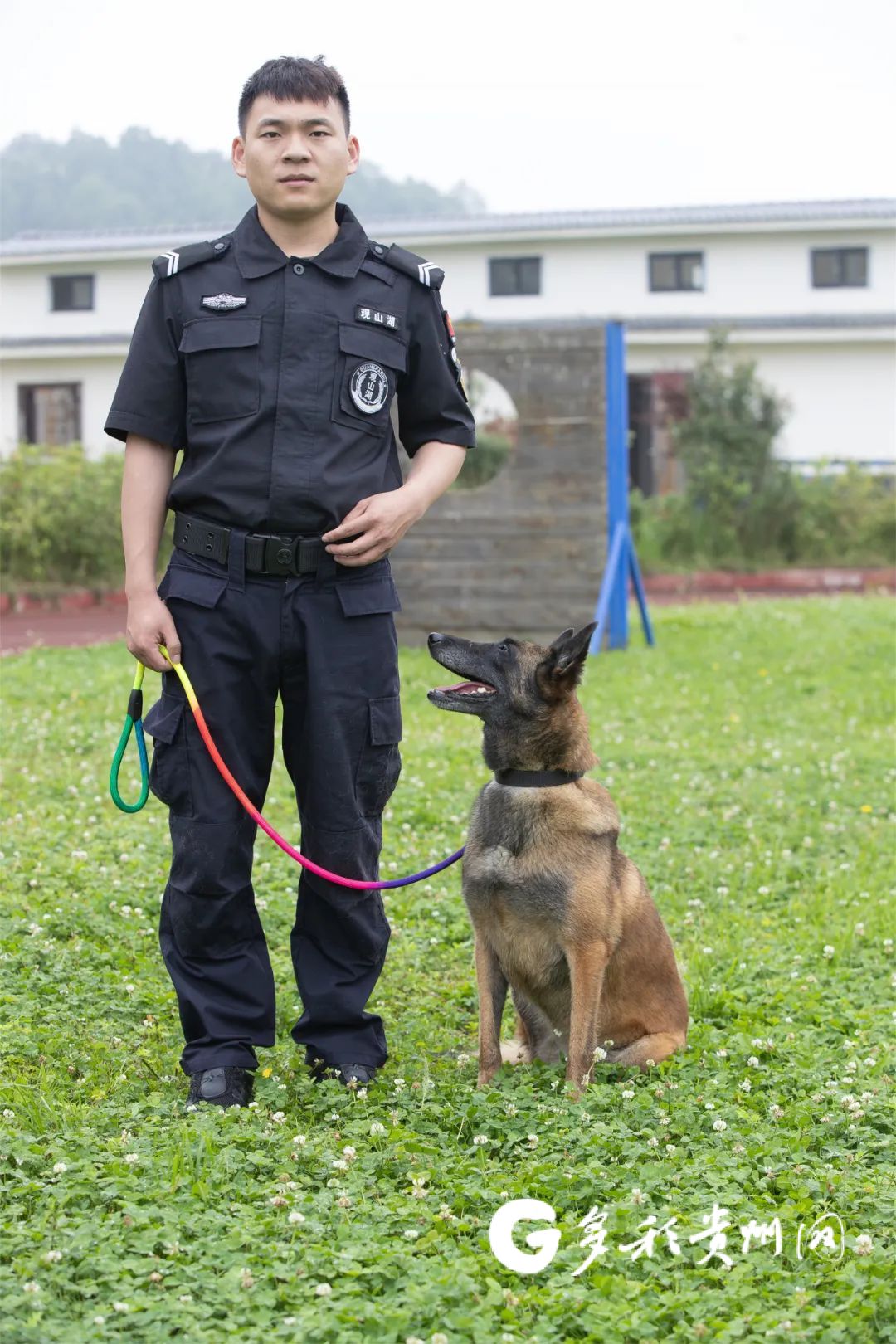 征集领养人!观山湖公安首批退役警犬开放领养