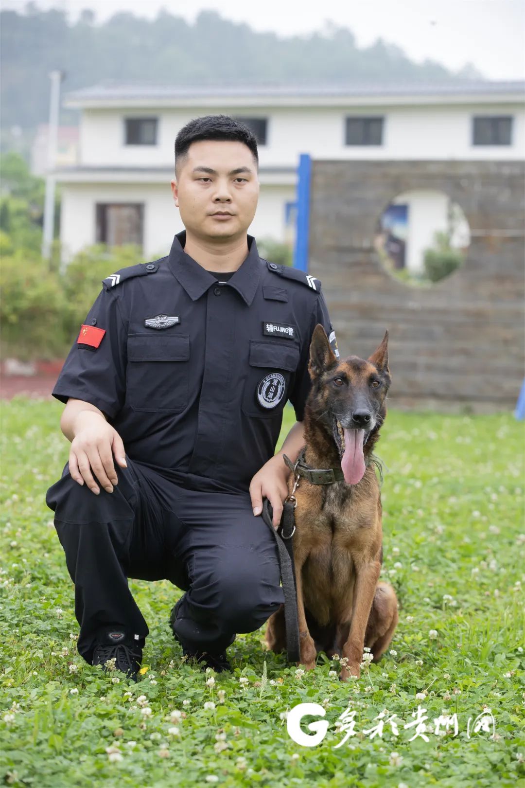 征集领养人!观山湖公安首批退役警犬开放领养