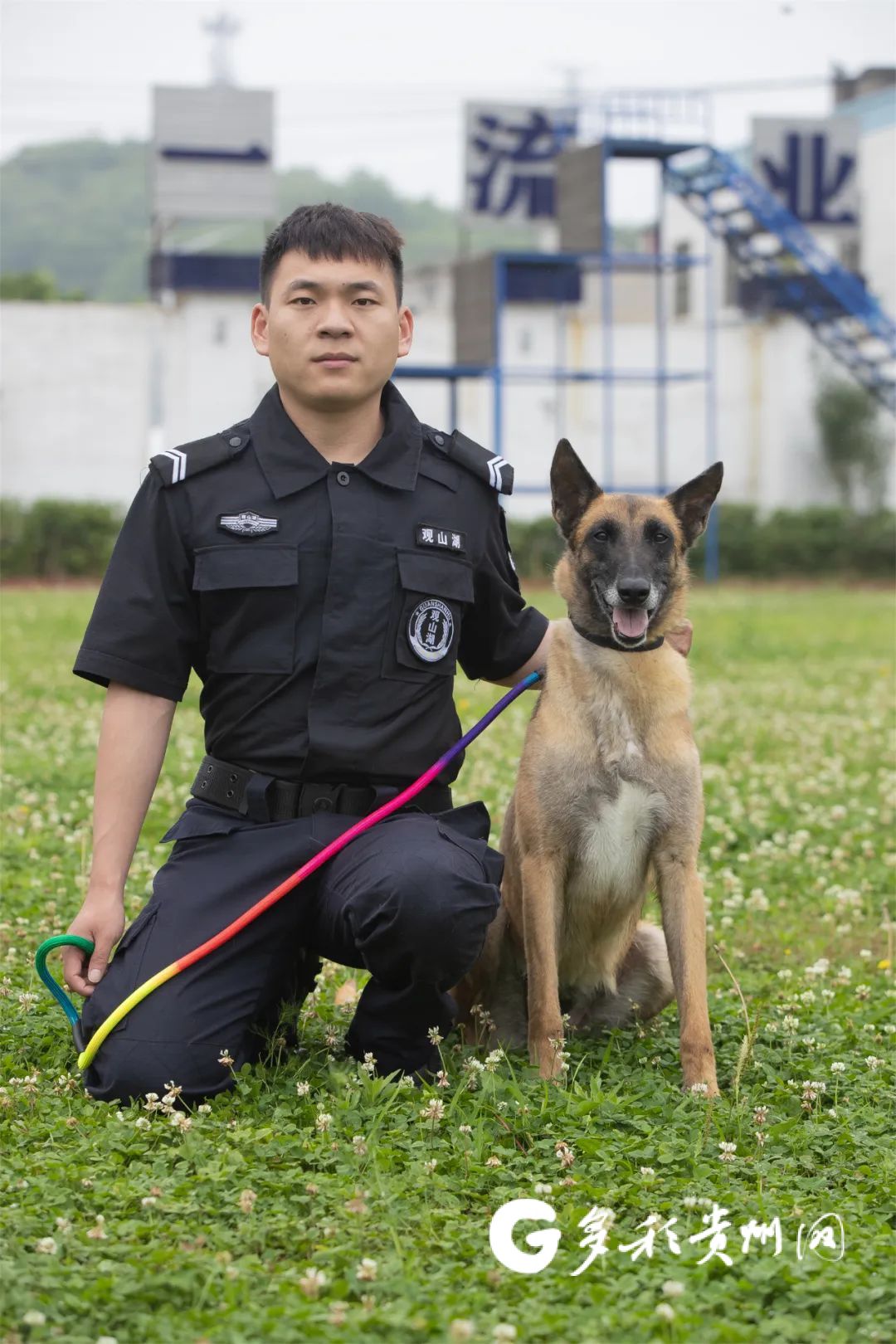 征集领养人!观山湖公安首批退役警犬开放领养