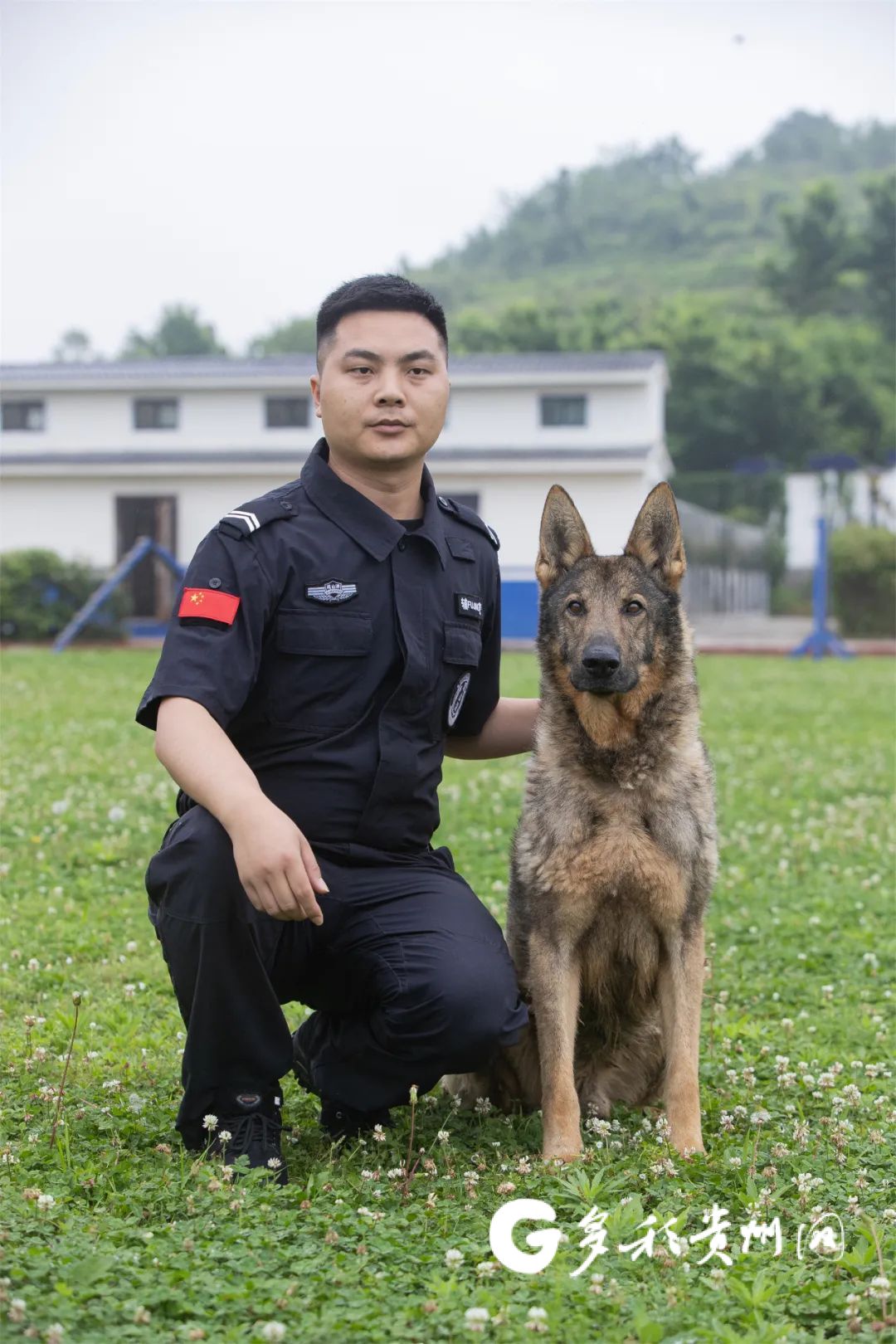 征集领养人!观山湖公安首批退役警犬开放领养