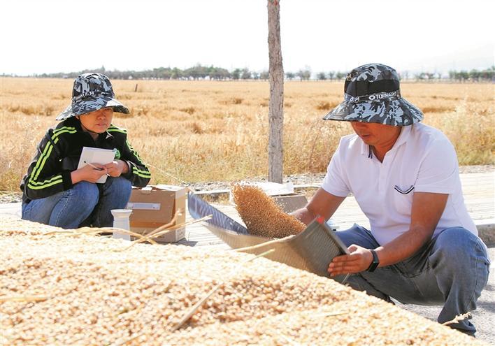 "咱们种粮心里更踏实了"