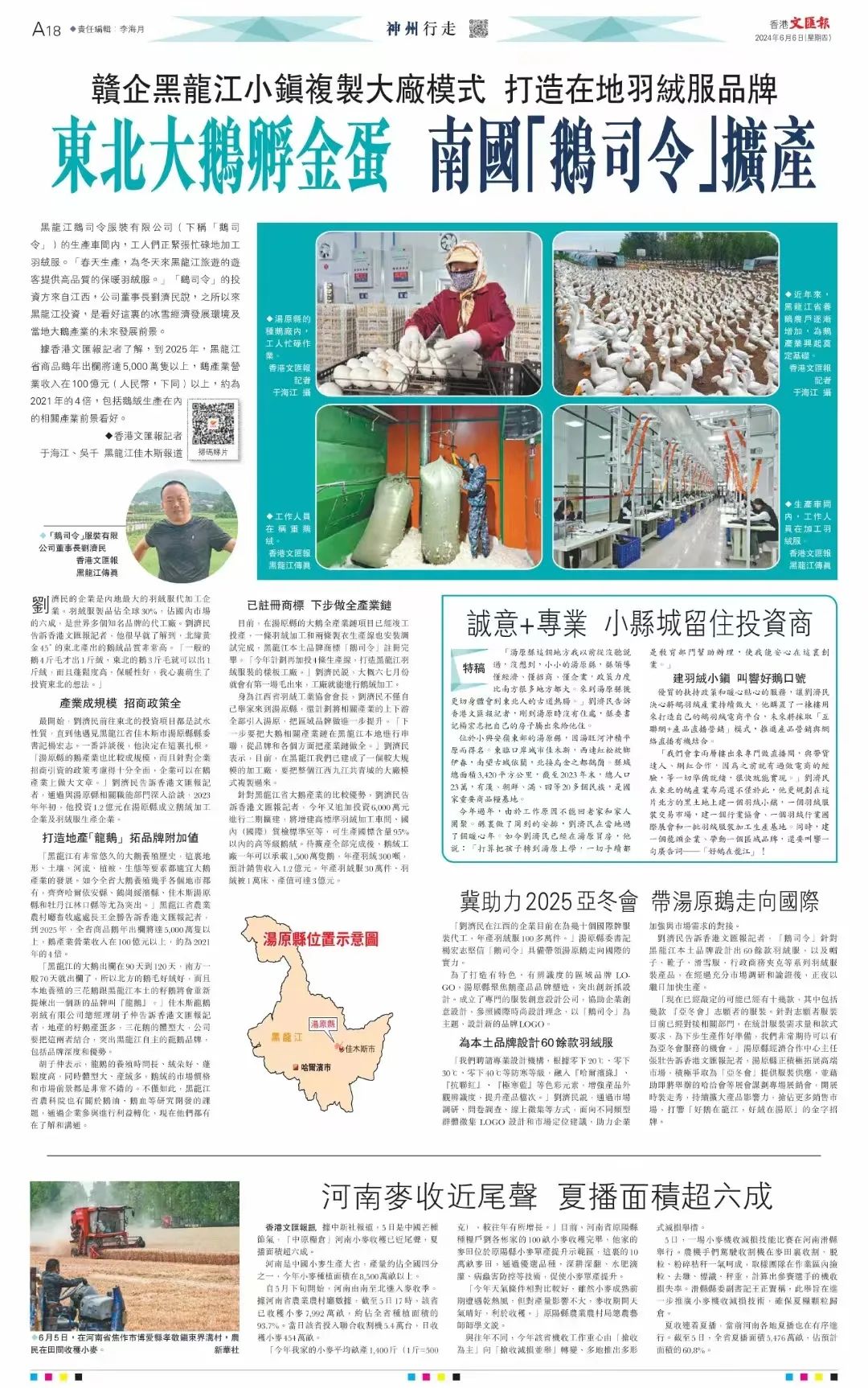 东北大鹅孵金蛋 南国"鹅司令"扩产