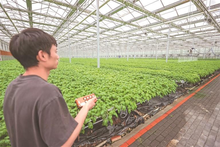 科技牵手农业 丰产增收有"方"