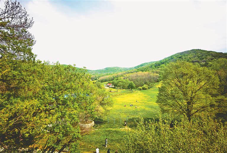 小朋友在森工平山皇家鹿苑喂鹿.游人在森工平山旅游区露营.