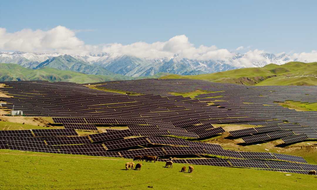 中国绿发以产业协同助力西部地区发展