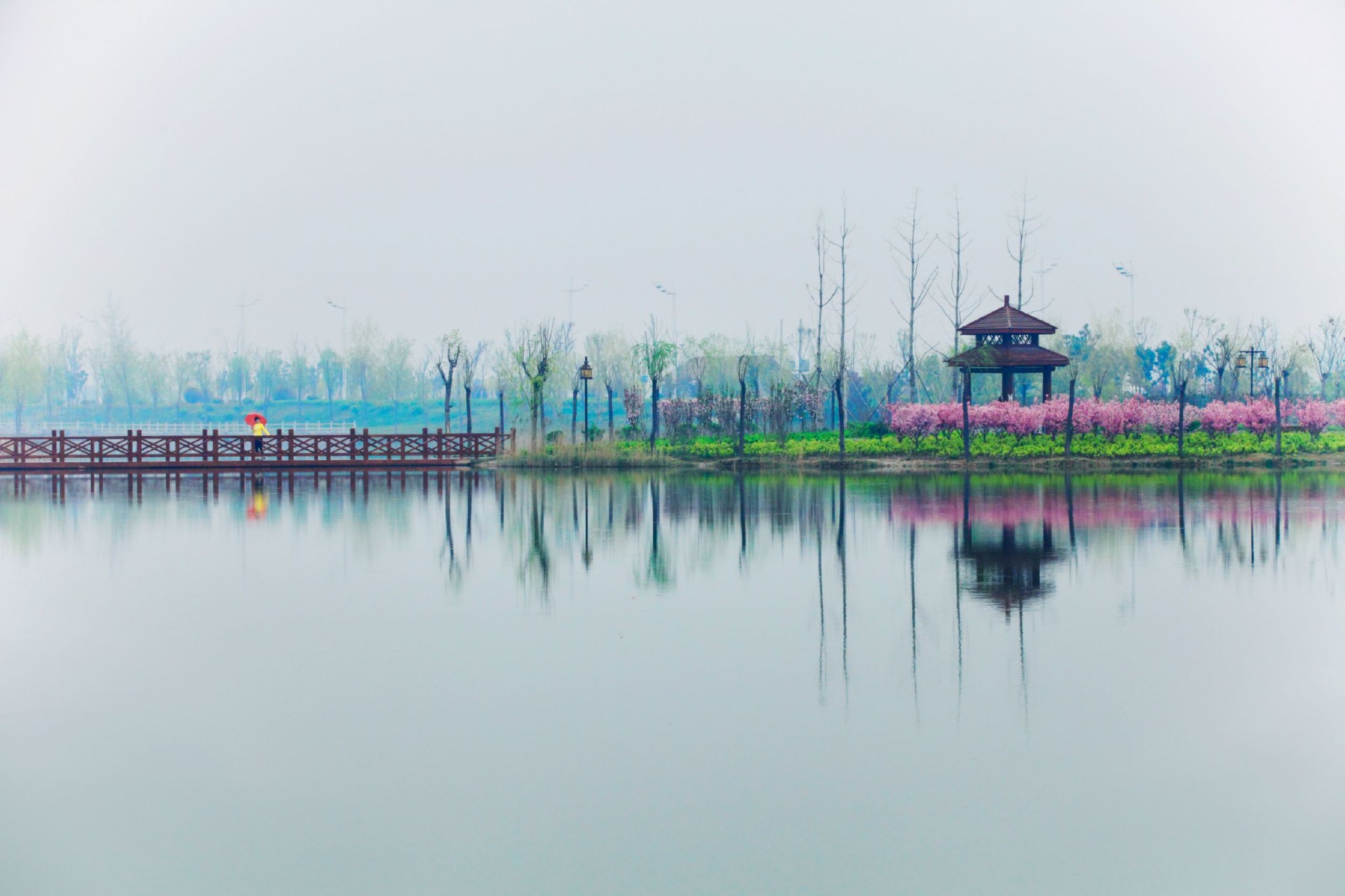 做活"治水,扩湖,增绿"水文章!山东金乡打造家门口的"幸福河湖"