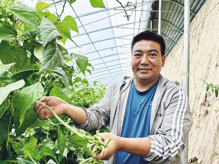 在希望的田野上做文章 打造群众致富的"金丝带"