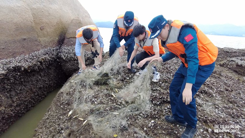 为海洋清污净垢 深圳海警执法员携手深大研究员化身海洋净化小分队