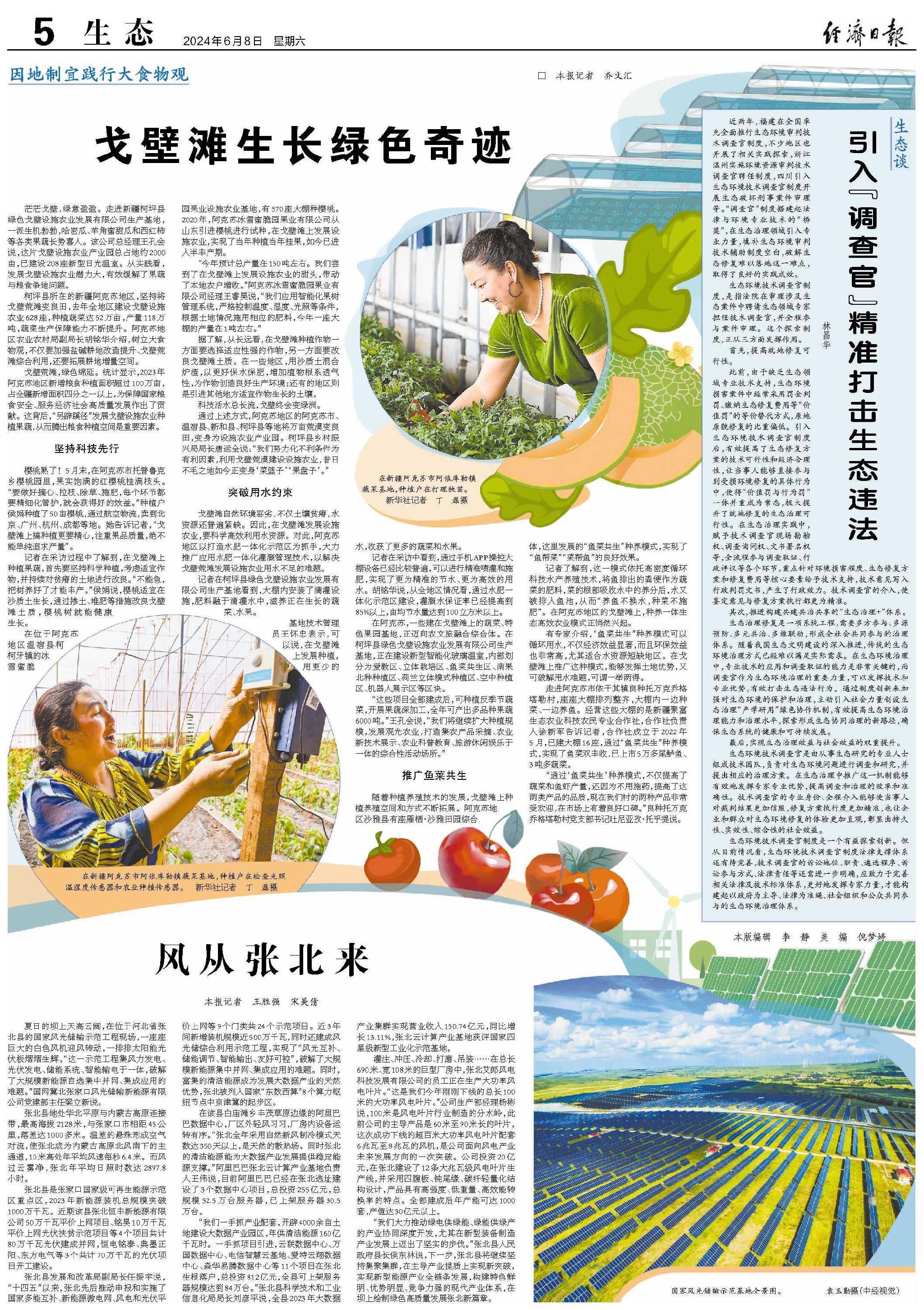 走进新疆柯坪县绿色戈壁设施农业发展有限公司生产基地,一派生机勃勃