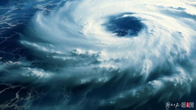 这些名字咋来的?