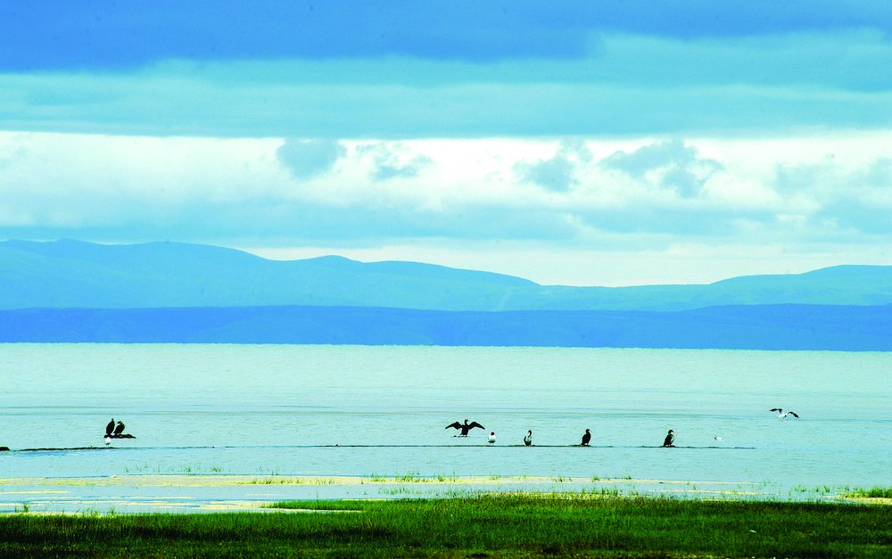 钟灵毓秀仙女湾|青海湖_新浪财经_新浪网