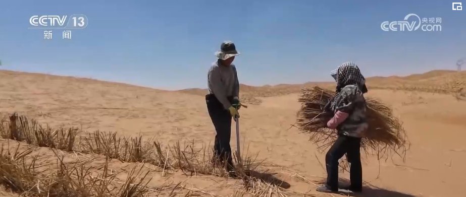 行进在腾格里沙漠,一片片"格子衫"映入眼帘.