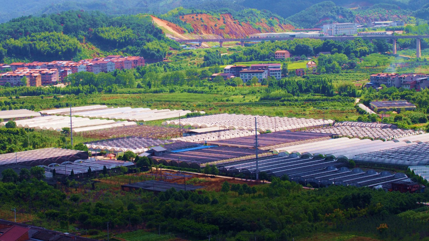 三明沙县区多措并举赋能农产品产业链高质量发展