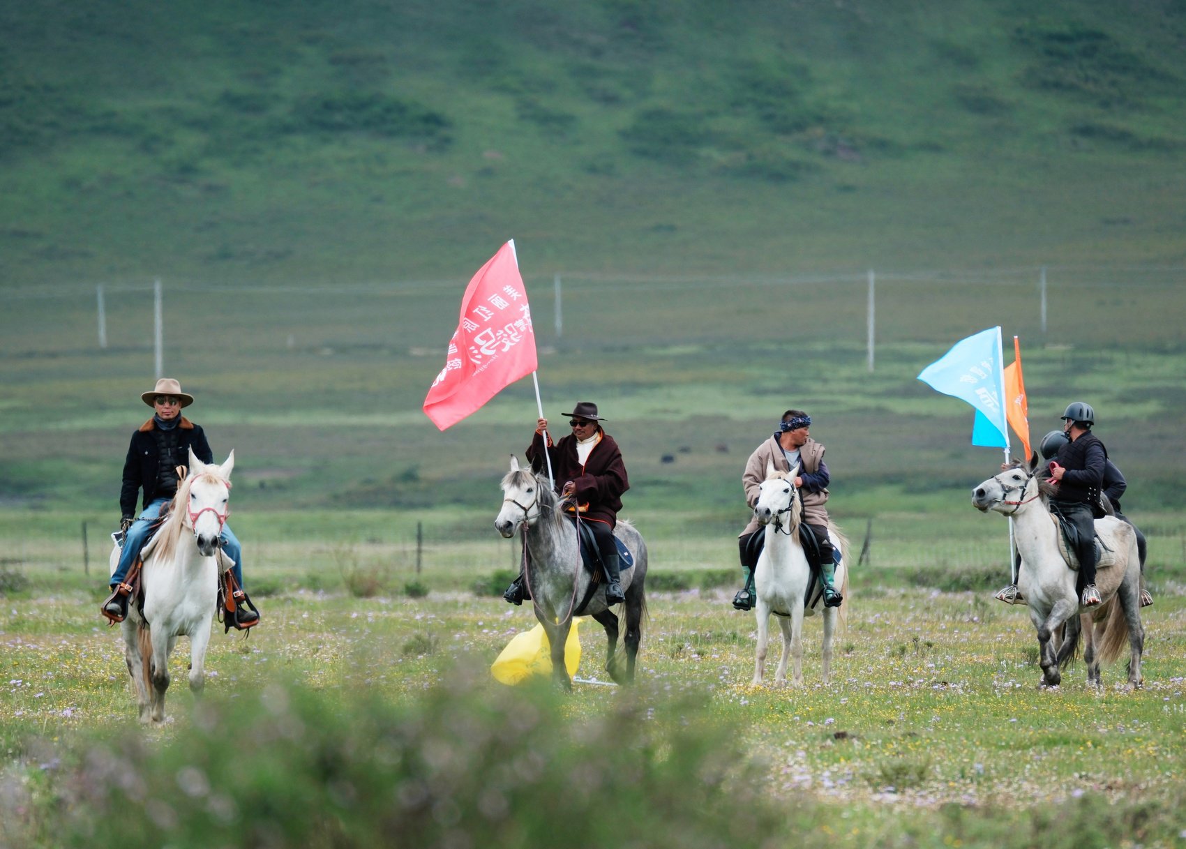 骑着骏马游草原!红原启动2024年雅克系列文旅活动