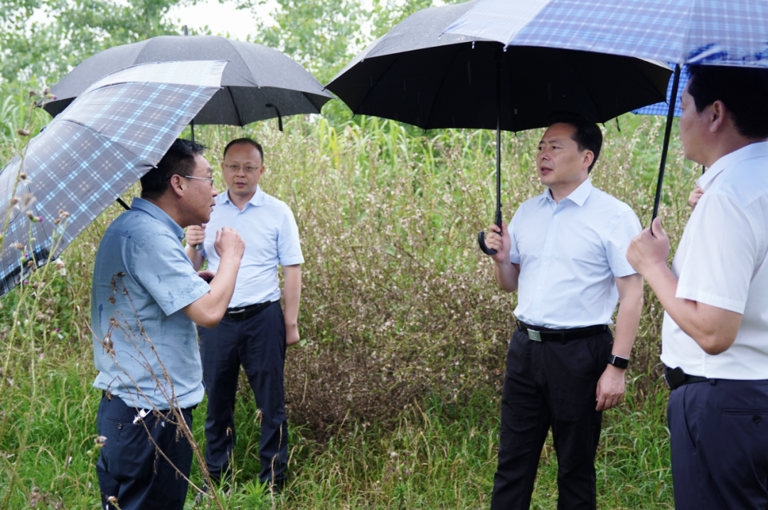 益阳市市长调度中央督察典型案例整改工作