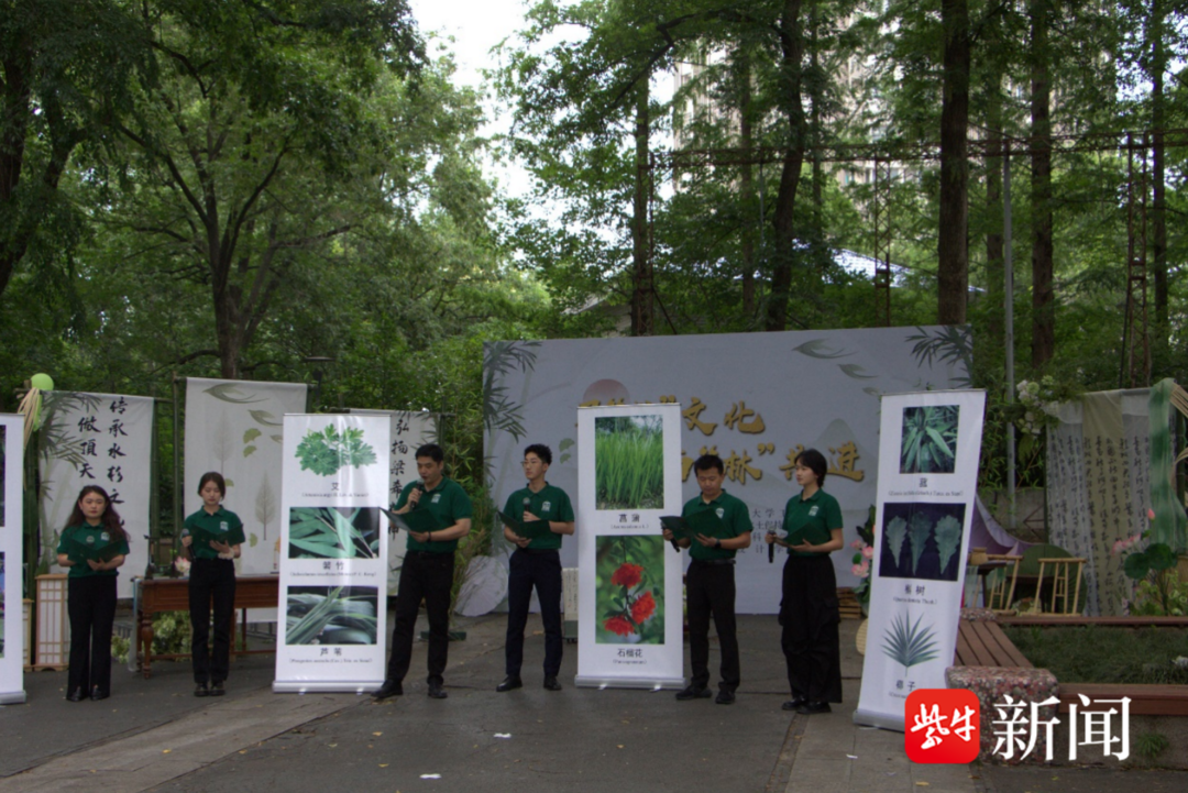 舞龙,情景剧,非遗体验……南京林业大学举办"寻粽,