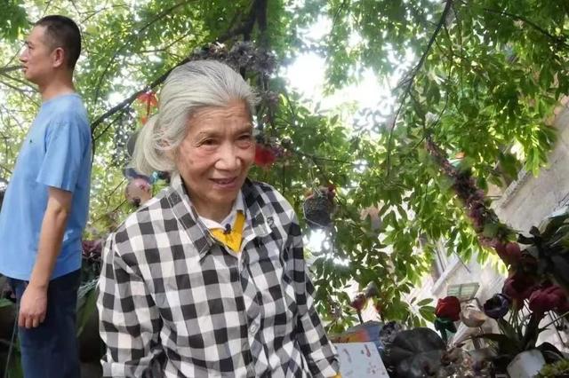 共赏真善美"系列讲座|在最新文艺电影里继续觅宝|胡阿姨的花园_新浪