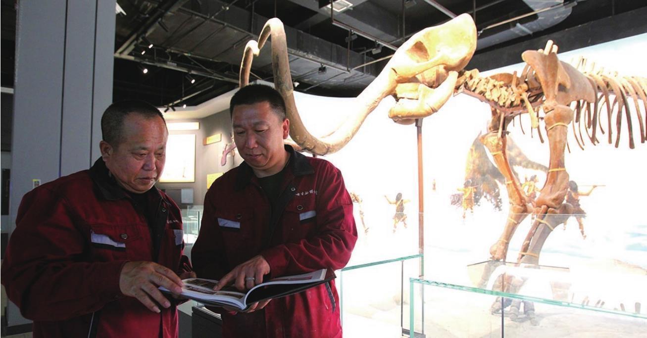 杨树瑞(左)和杨强(右)需要对比资料和复原骨骼的每一个细节.