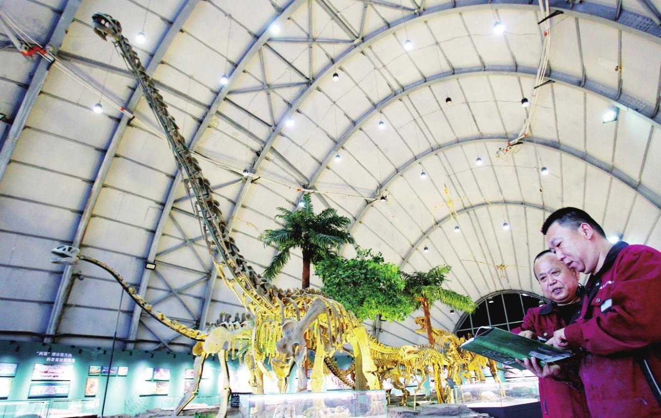 解锁上亿年前的生命奥秘