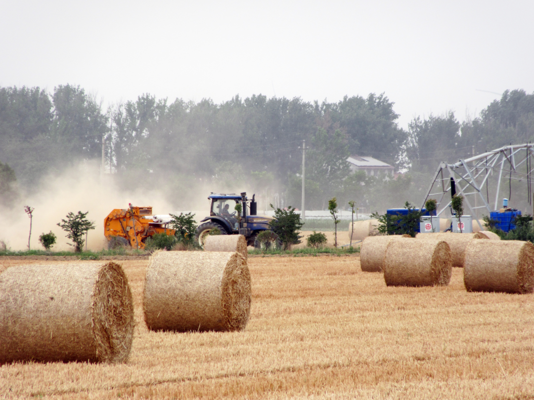"经初步测算,今年全县小麦秸秆总产量60余万吨,还田量近30万吨,离田量