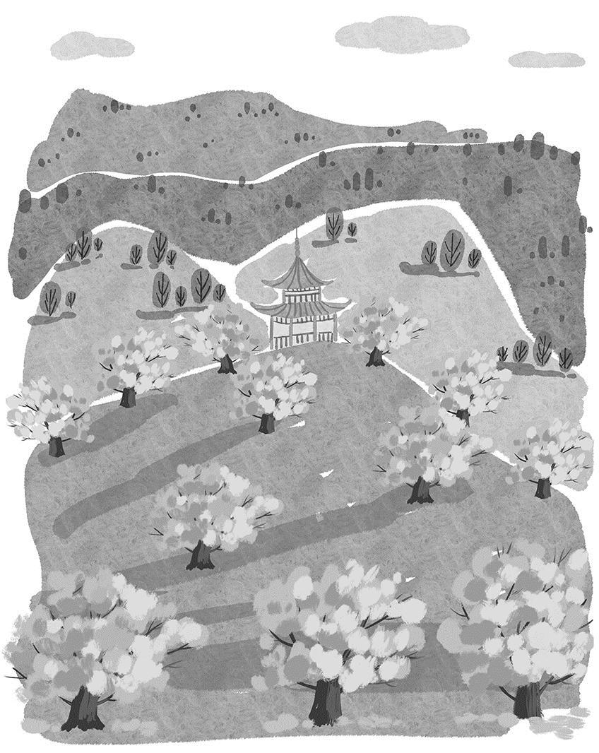 我见银杏似故人