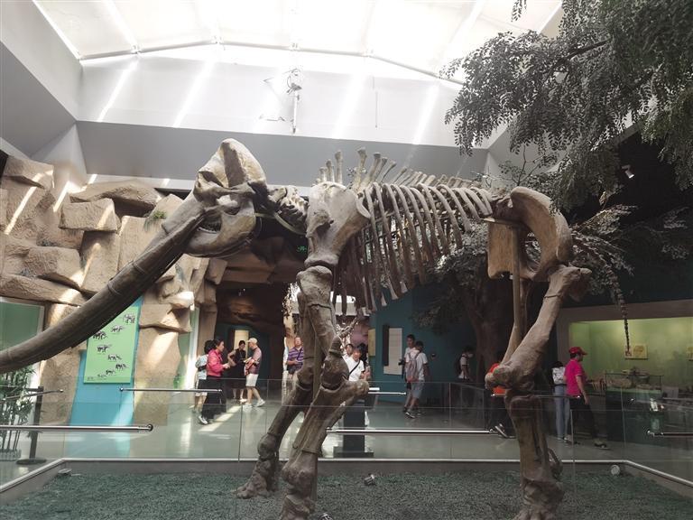 "不远不贵不挤"的小众目的地"出圈"