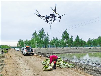 水稻插秧忙 沃野披"绿装"
