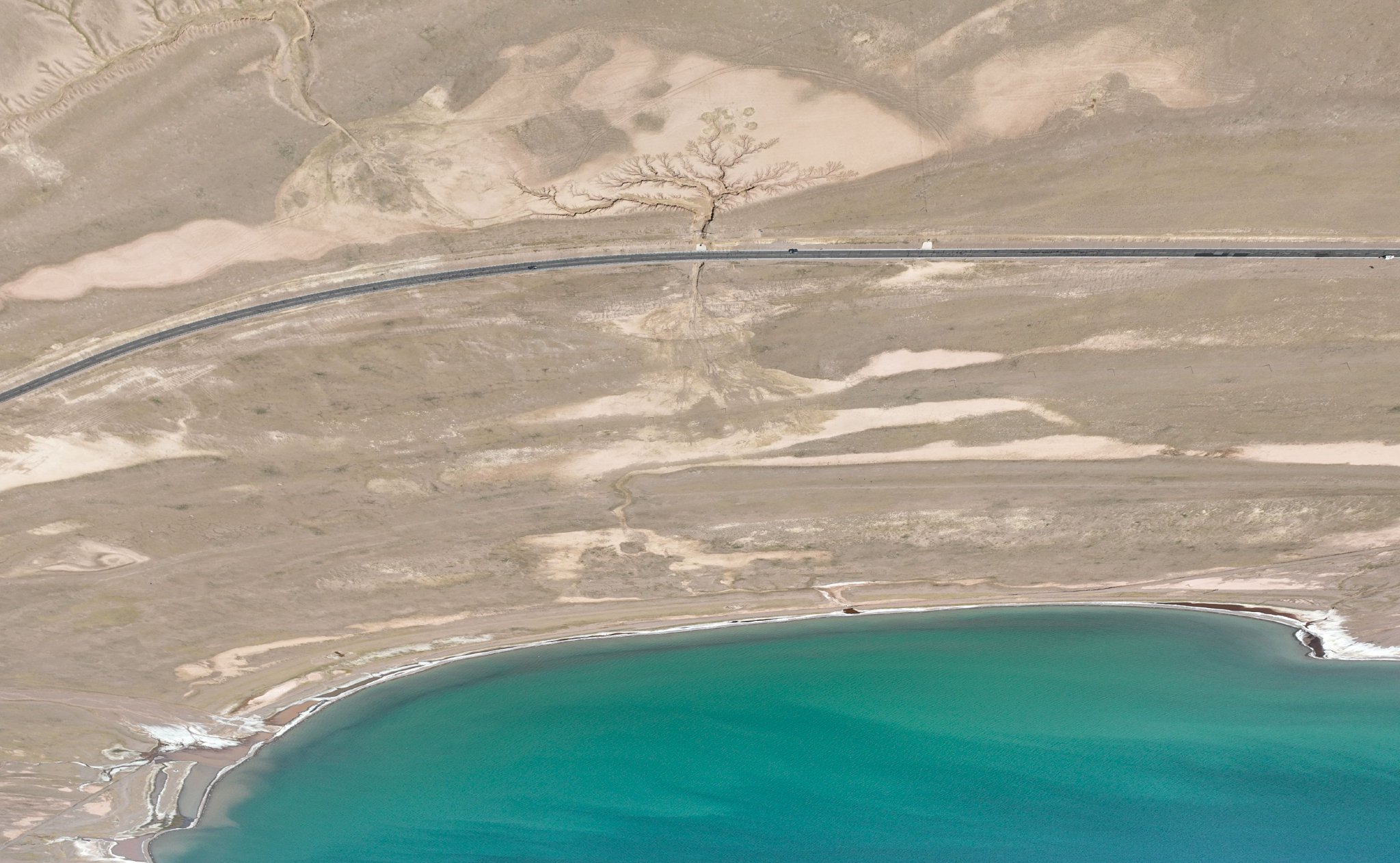 西藏那曲:大地上的"天空之树"