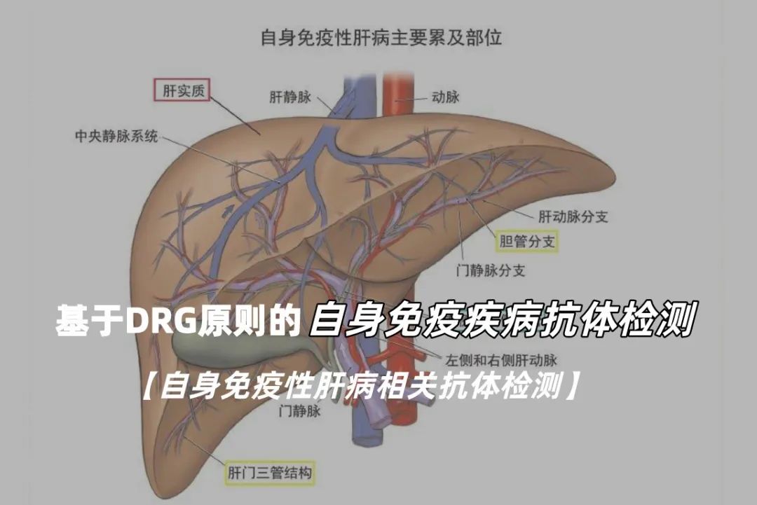 而且由于此类疾病与病毒性肝炎等疾病在临床上具有一定相似性和重叠性