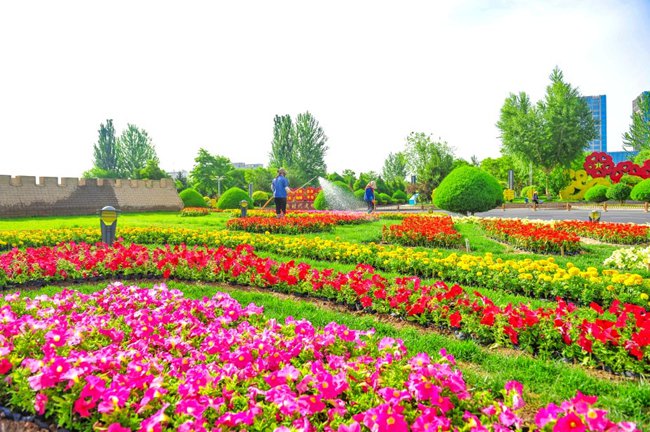 通讯员张嘉城)近日,市林草局全面完成雄关广场文创景观花箱摆放工