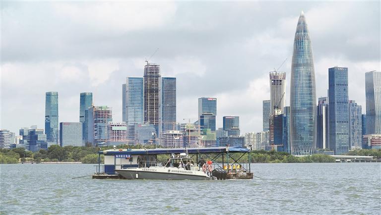 深圳湾禁渔10载鱼跃鸟欢_新浪财经_新浪网