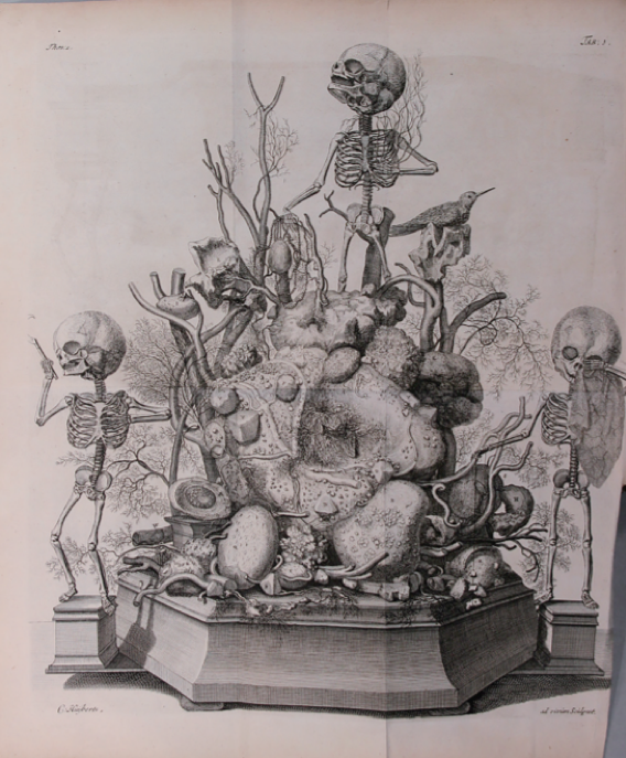 《金钱,奇珍异品与造物术》:历史上,贸易如何影响科学?