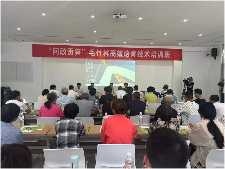 歙县徽城镇:以"绿"为底绘就和美乡村新画卷