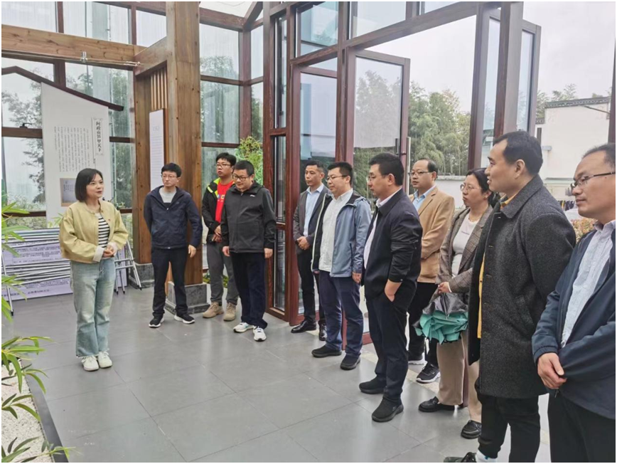 歙县徽城镇:以"绿"为底绘就和美乡村新画卷