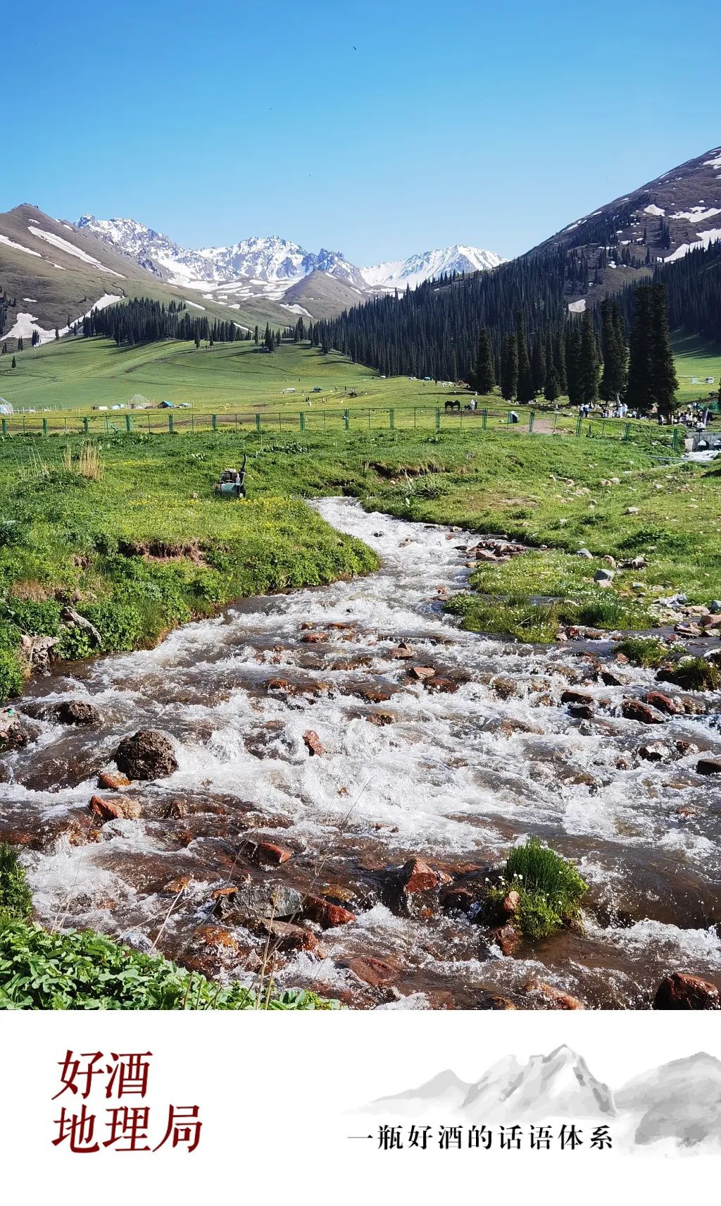 地道好酒 | 夏至,我们那拉提见!