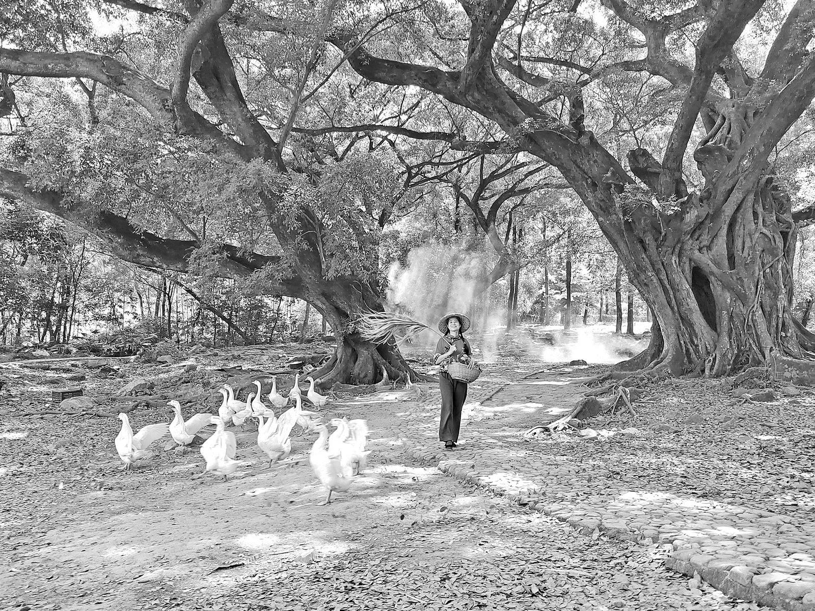 记者 李金枝 摄游客在牙城镇梅花村的云缦观海度假民宿观海景