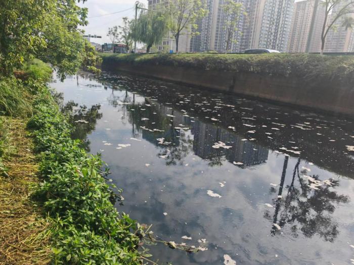 云南杞麓湖再被通报,曾有29名官员因污染治理弄虚作假被问责