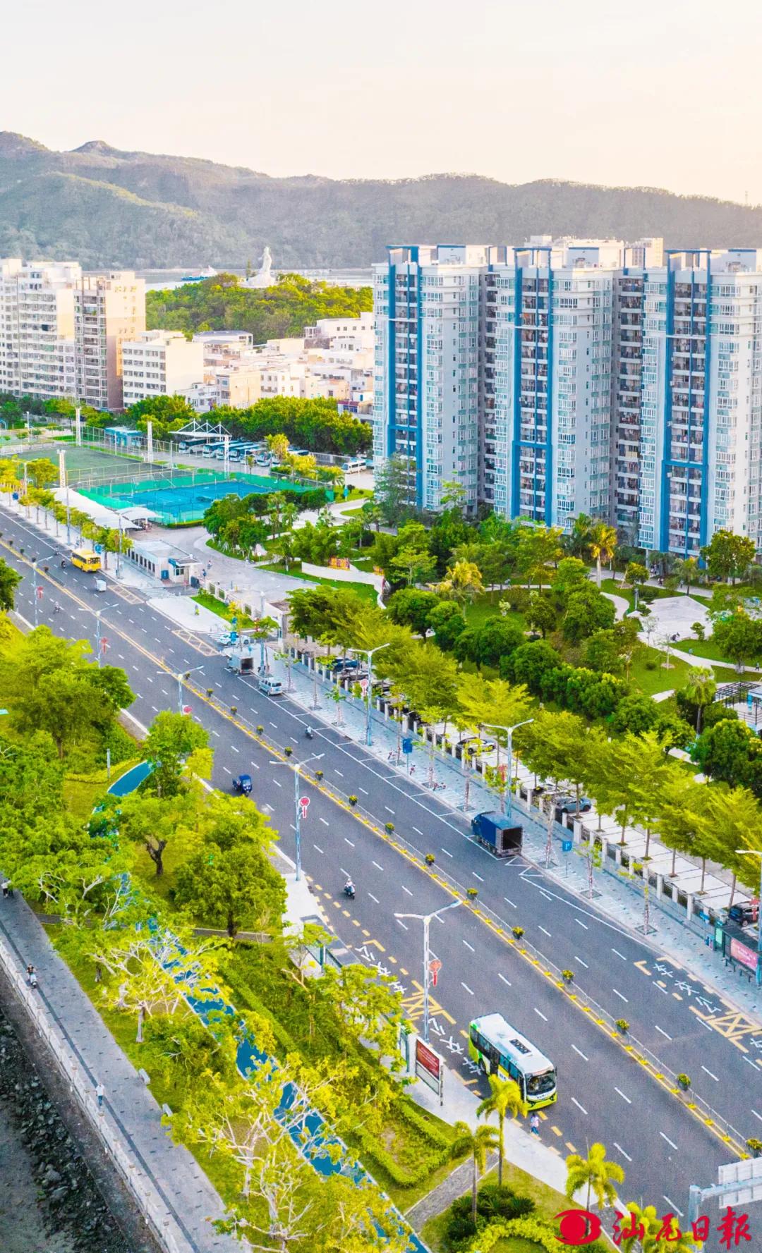 图为海滨大道一角