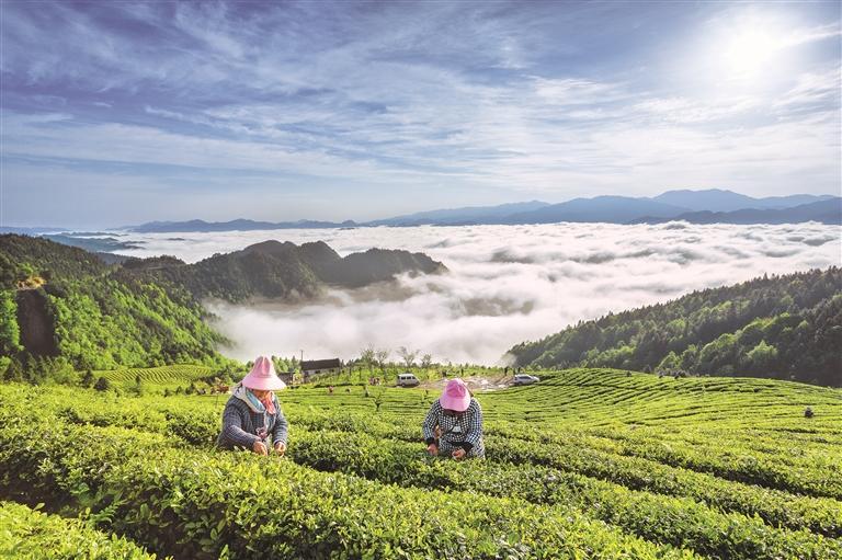 (雷山县委宣传部供图)贵州日报天眼新闻记者 刘莹 向淳 金忠秀 袁鹏这