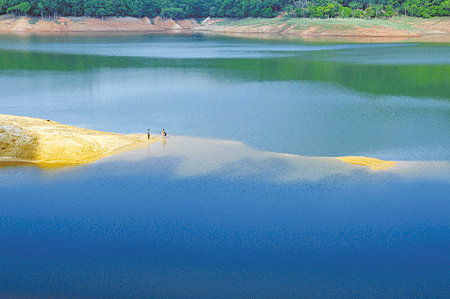 来源：德宏团结报 庄郁葱 图