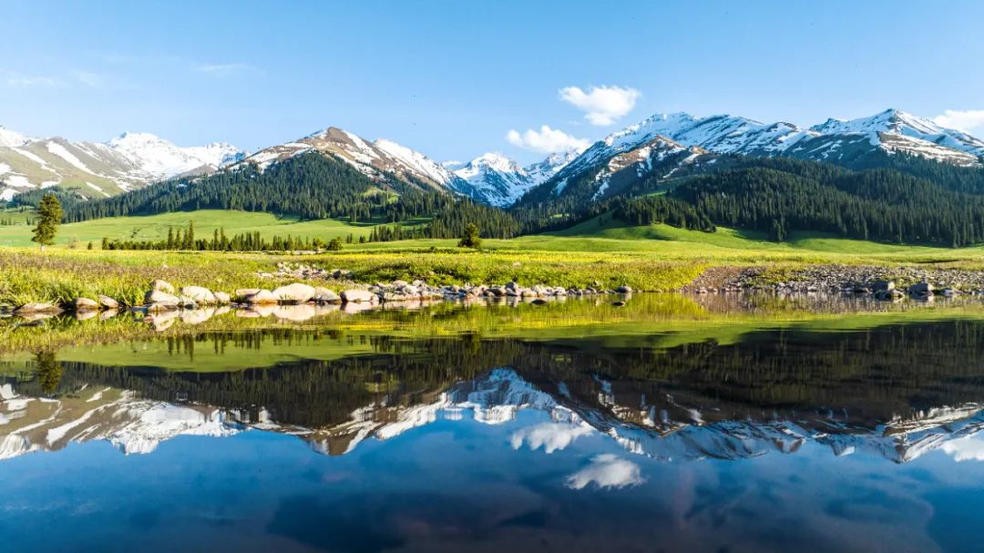 地道好酒 | 夏至,我们那拉提见!