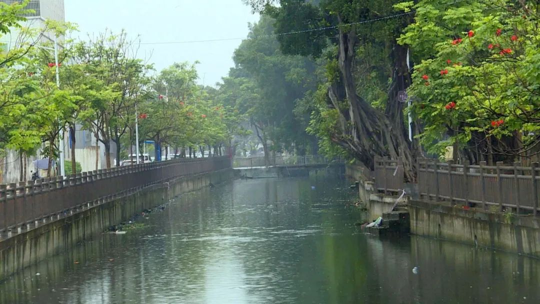 创建国家卫生城市 | 彩塘镇:推进人居环境整治 助力"百千万工程"