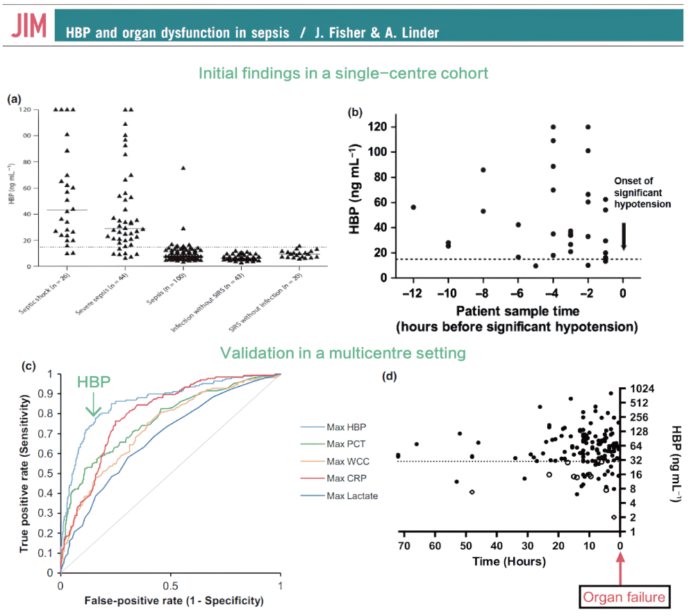 新品上市|感染标志物再添猛将——肝素结合蛋白(hbp)