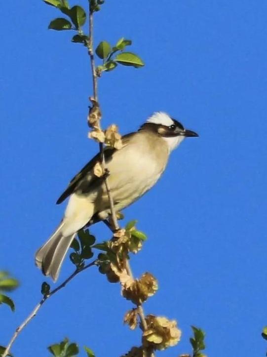 来环城生态公园带,寻找这些小精灵吧