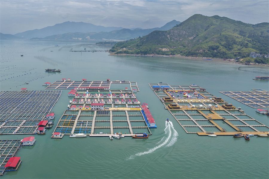 潮涌东南岸 "枫"从海上来 宁德"海上枫桥"打造富民和美海上社区