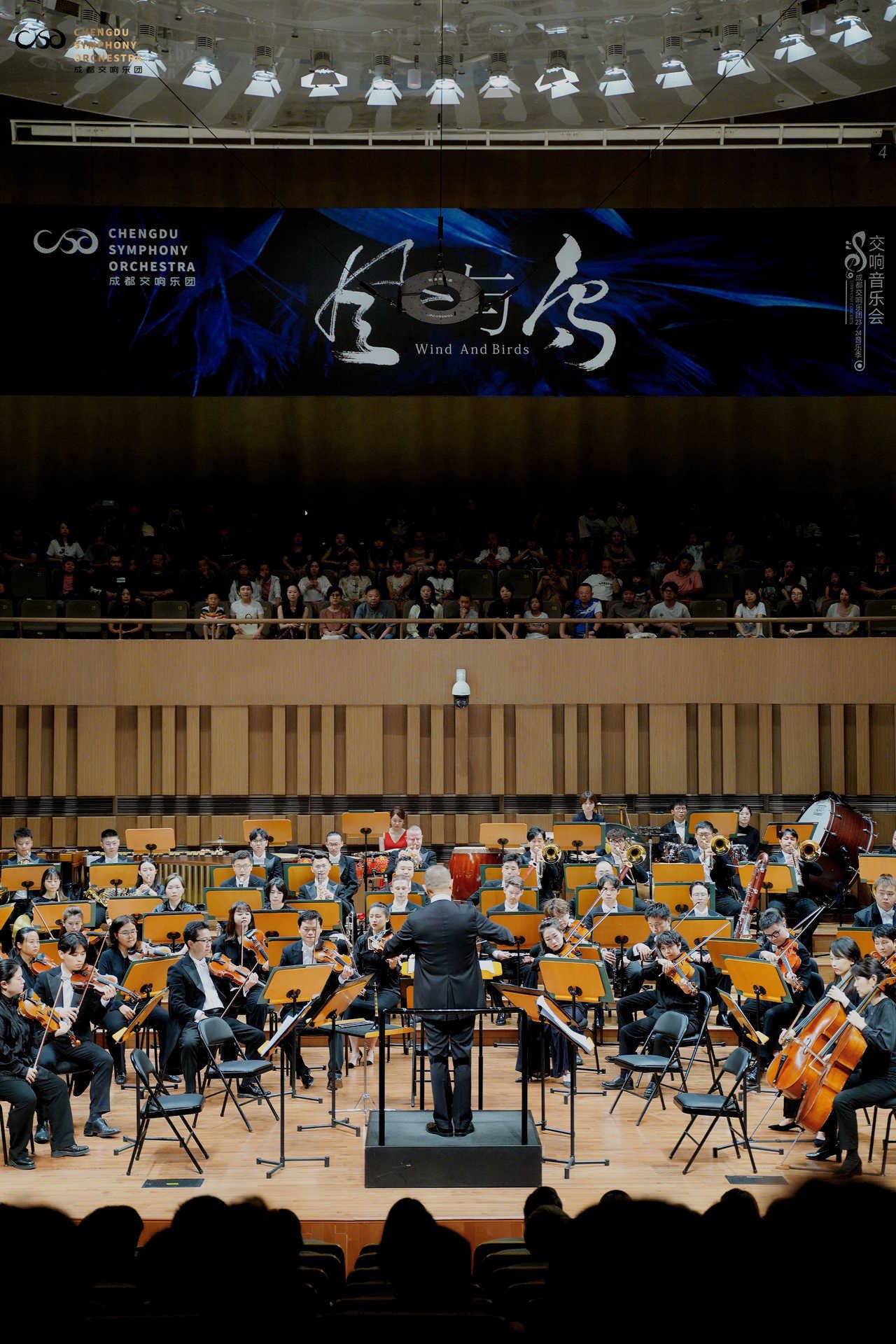 音乐会现场