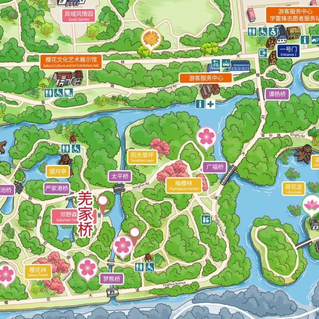 浅夏清风来,顾村公园的"莫奈睡莲"惊喜绽放