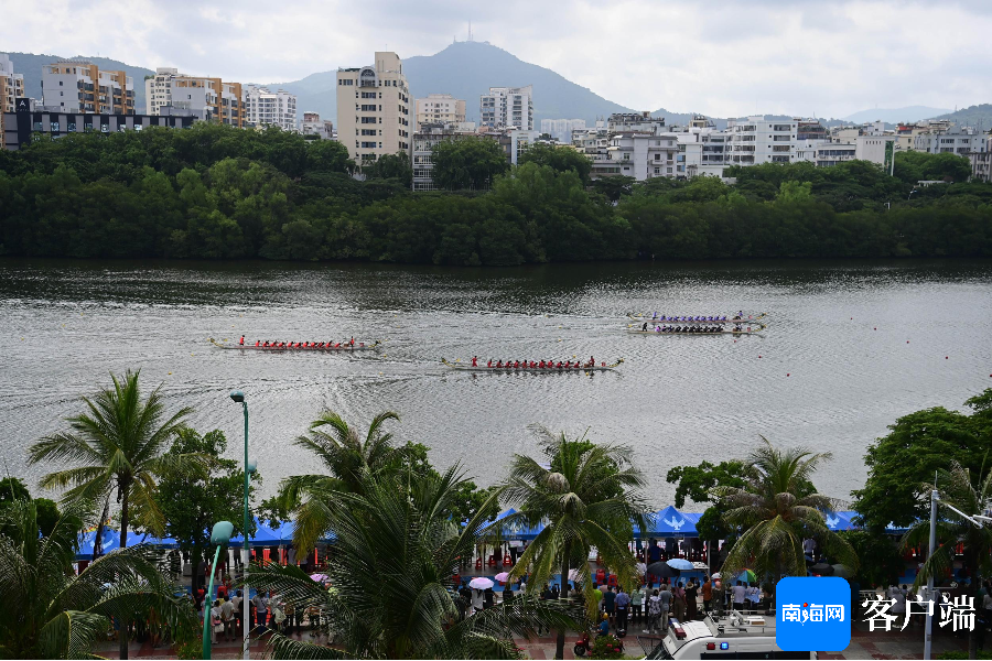 6月15日，2024年三亚市龙舟公开赛在三亚河开赛。记者 沙晓峰摄